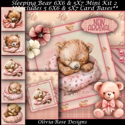 Sleeping Bear Mini Kit 2