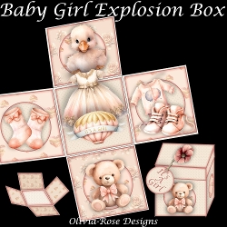 Baby Girl Explosion Box