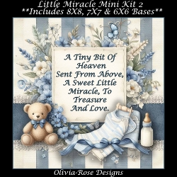 Little Miracle Mini Kit 2