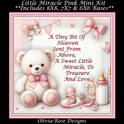 Little Miracle Pink Mini Kit