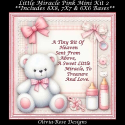 Little Miracle Pink Mini Kit 2
