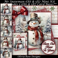 Image of cup1387266_104105 - Mr Snowman Mini Kit