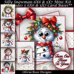 Silly Snowman Mini Kit