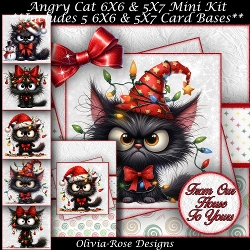 Angry Cat Mini Kit