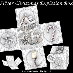 Silver Christmas Explosion Box