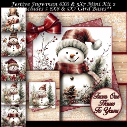 Festive Snowman Mini Kit 2