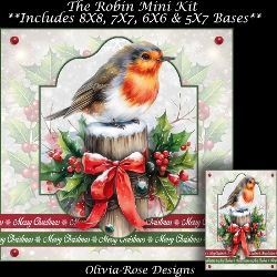 The Robin Mini Kit