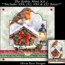 The Robin Mini Kit 2