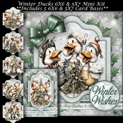 Winter Ducks Mini Kit