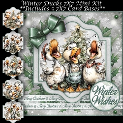 Winter Ducks Mini Kit 7X7