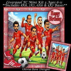 Liverpool FC Mini Kit 3 Ages 6-11 included
