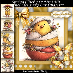 Spring Chick Mini Kit 7X7