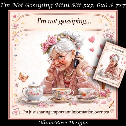 Im Not Gossiping Mini Kit