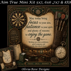Aim True Mini Kit