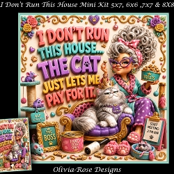 I Dont Run This House Mini Kit  