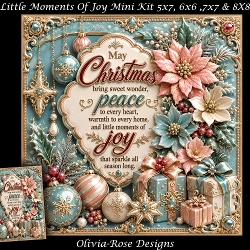 Little Moments Of Joy Mini Kit