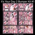 Its Your Day 2 Bumper Kit#1     