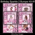 Birthday Sparkle 2 Bumper Kit #1 NO DECOUPAGE**