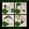 Luck O The Irish Bumper Kit #1