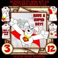 Super Pets Mini Kit #2 CARD FRONT *