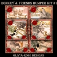 Donkey & Friends Bumper Kit #1  