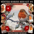 Winter Robins Mini Kit #6
