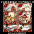 Winter Robins Bumper Kit #1