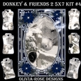 Donkey & Friends 2 5X7 Mini Kit #4 1  