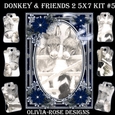 Donkey & Friends 2 5X7 Mini Kit #5 1  