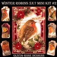 Winter Robins 5X7 Mini Kit #2