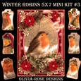 Winter Robins 5X7 Mini Kit #3