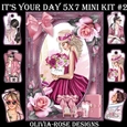 Its Your Day 5X7 Mini Kit #2 