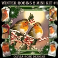 Winter Robins 2 Mini Kit #1