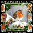 Winter Robins 2 Mini Kit #5