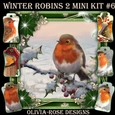Winter Robins 2 Mini Kit #6
