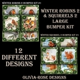 Winter Robins & Squirrels 2 Large Bumper Kit #1