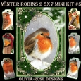 Winter Robins 2 5X7 Mini Kit #5