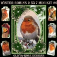 Winter Robins 2 5X7 Mini Kit #6