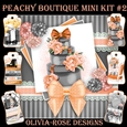 Peachy Boutique Mini Kit #2