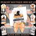 Peachy Boutique Mini Kit #3