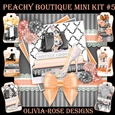 Peachy Boutique Mini Kit #5