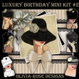 Luxury Birthday Mini Kit #2