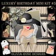 Luxury Birthday Mini Kit #5