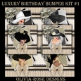 Luxury Birthday Bumper Kit #1