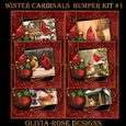 Winter Cardinals Bumper Kit #1