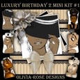 Luxury Birthday 2 Mini Kit #1