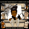 Luxury Birthday 2 Mini Kit #2