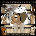 Luxury Birthday 2 Mini Kit #3