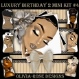 Luxury Birthday 2 Mini Kit #4