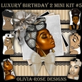 Luxury Birthday 2 Mini Kit #5